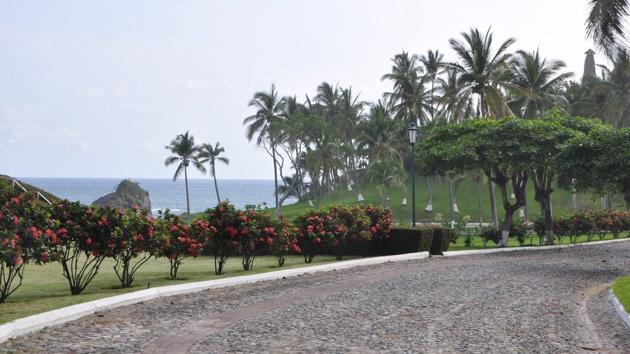 Photo of Others in Manzanillo