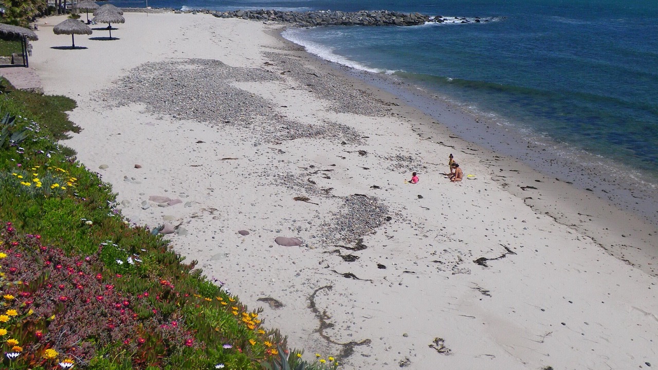 Photo of Others in Las Gaviotas