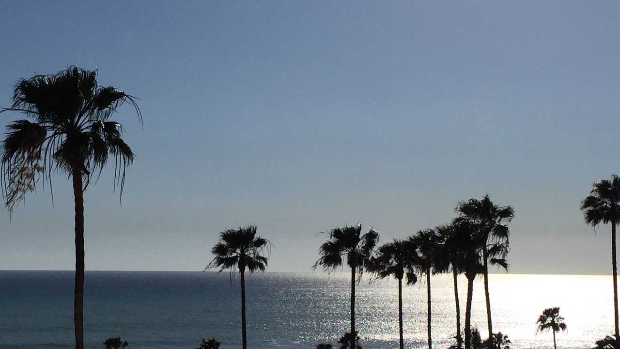 Photo of Others in Las Gaviotas