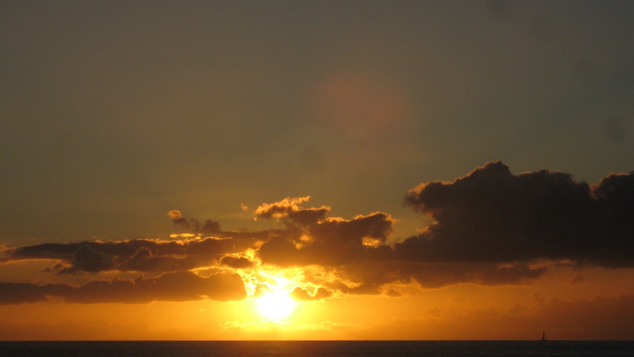 Photo of Others in Las Gaviotas