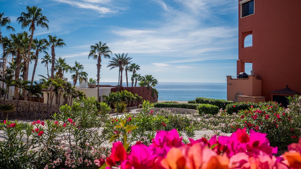 Photo of Outdoor in San Jose del Cabo