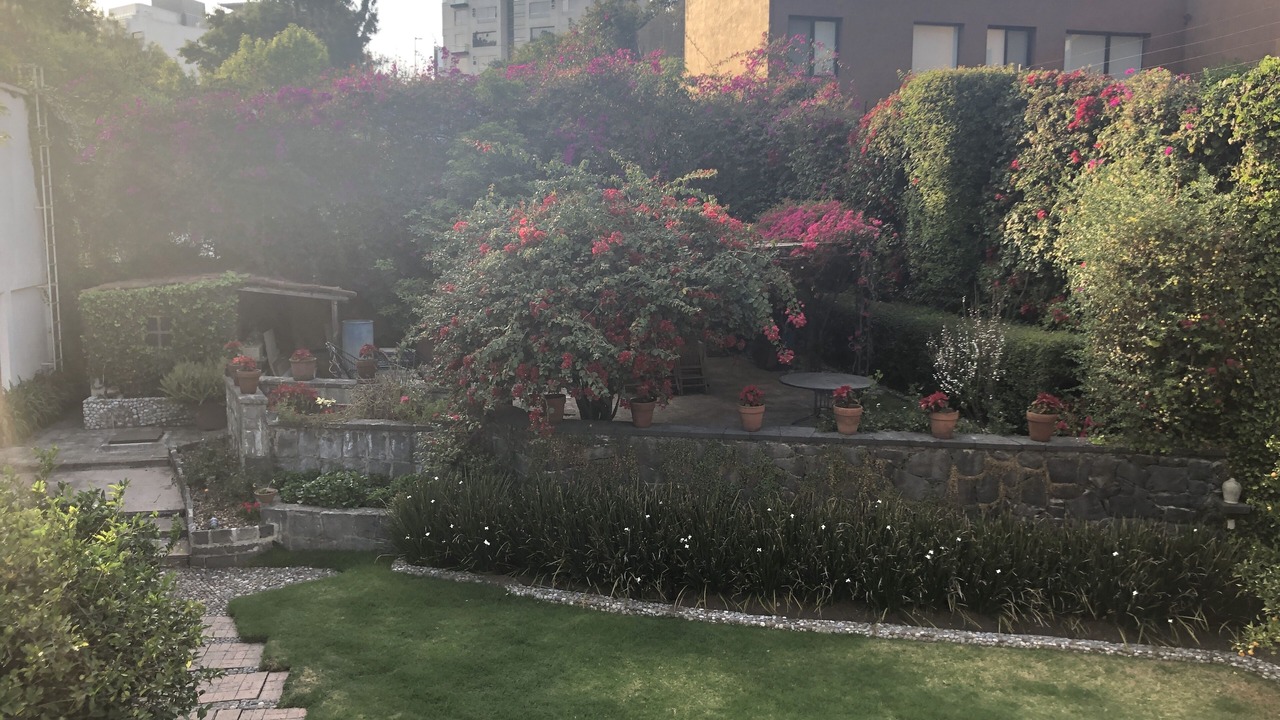 Photo of Outdoor in Campestre