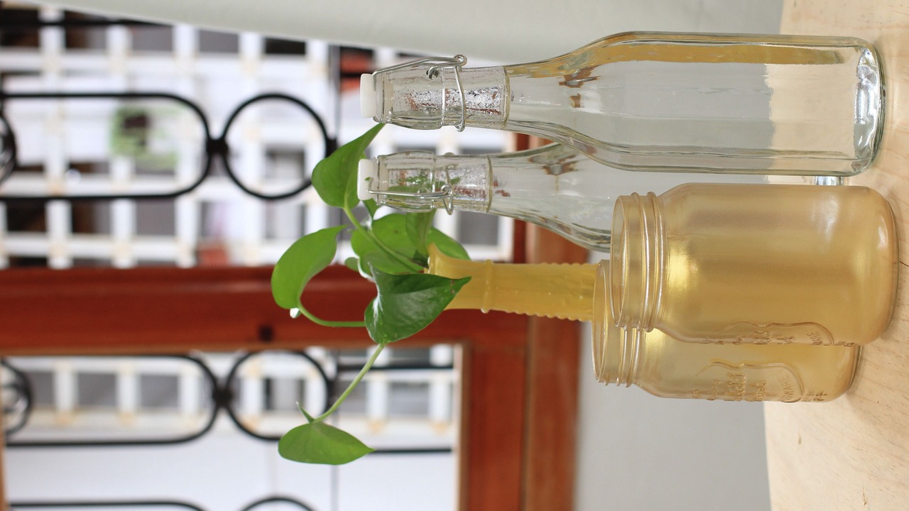 Photo of Others in De La Merced