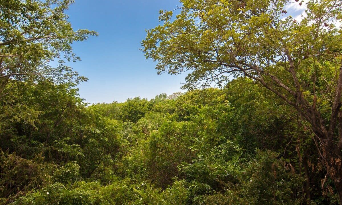 Photo of Others in Gonzalo Guerrero