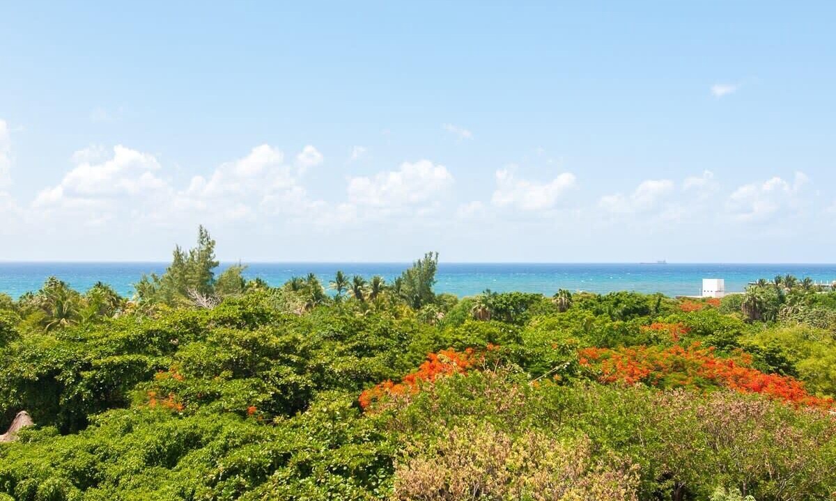 Photo of Others in Gonzalo Guerrero