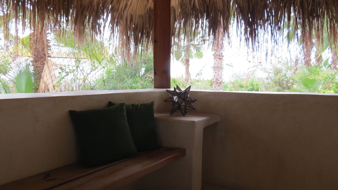 Photo of Others in Todos Santos