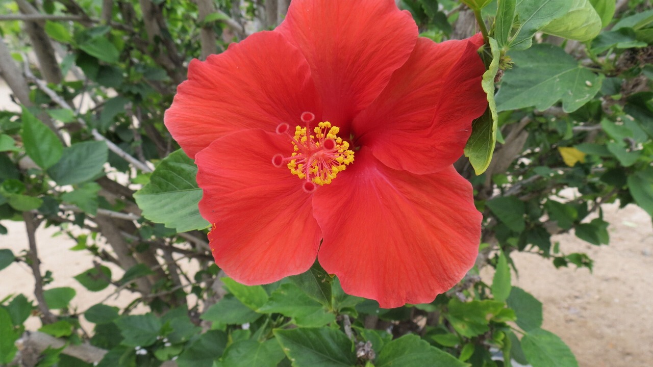 Photo of Outdoor in Todos Santos