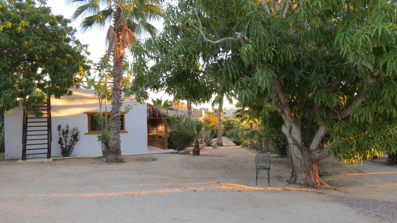 Photo of Outdoor in Todos Santos
