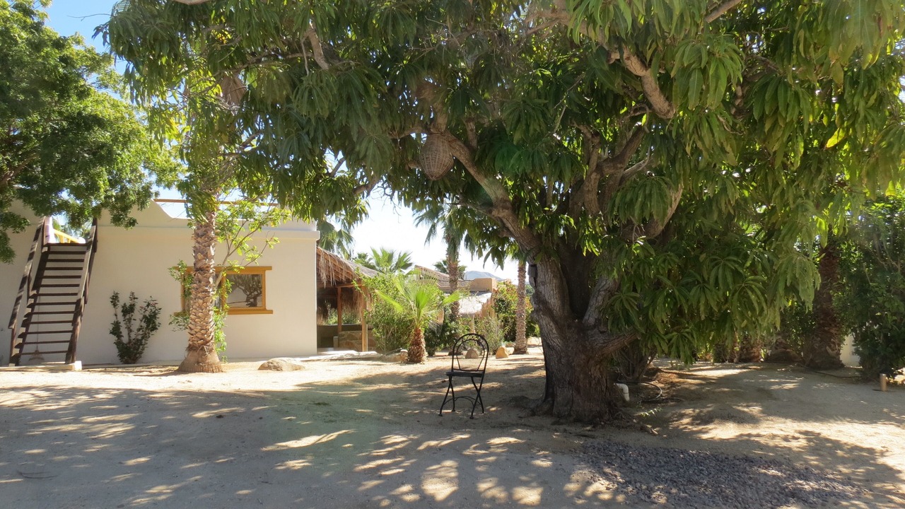 Photo of Outdoor in Todos Santos