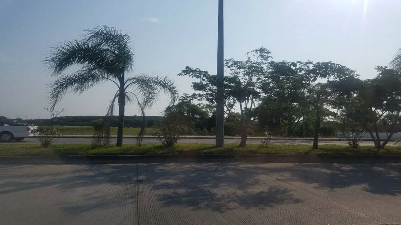 Photo of Others in Medellin