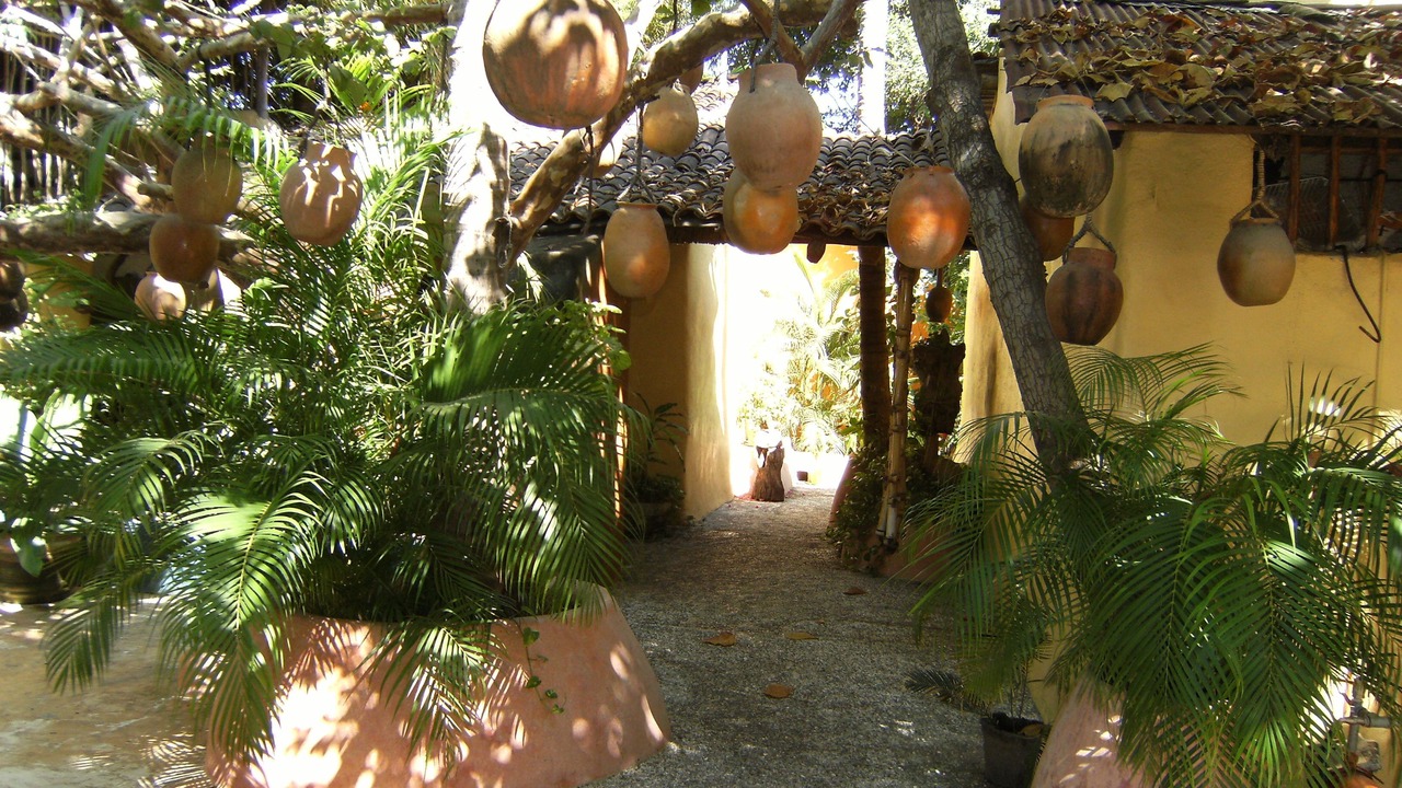 Photo of Outdoor in Playa la Madera