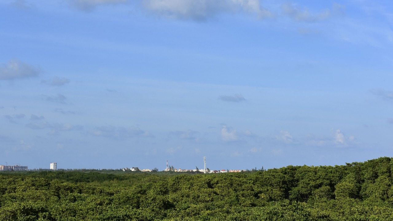 Photo of Others in Downtown Cancun