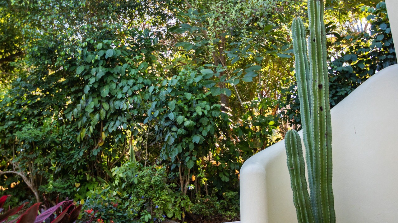Photo of Outdoor in Ixtapa