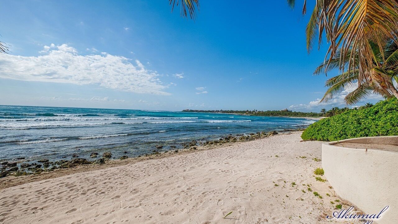 Photo of Others in Akumal