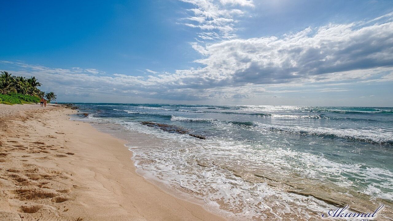 Photo of Others in Akumal
