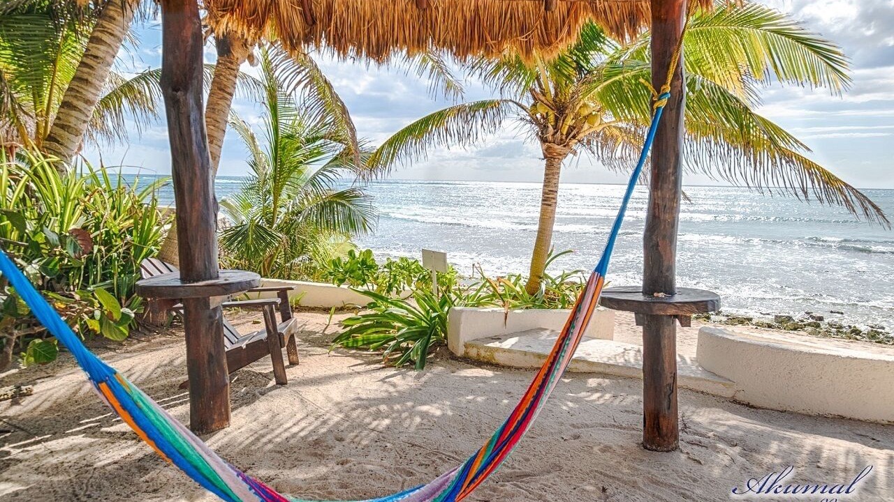 Photo of Others in Akumal