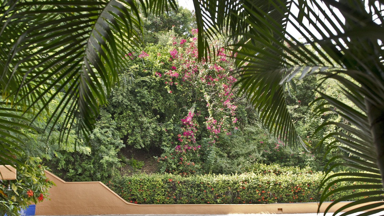 Photo of Outdoor in Playa Las Gatas
