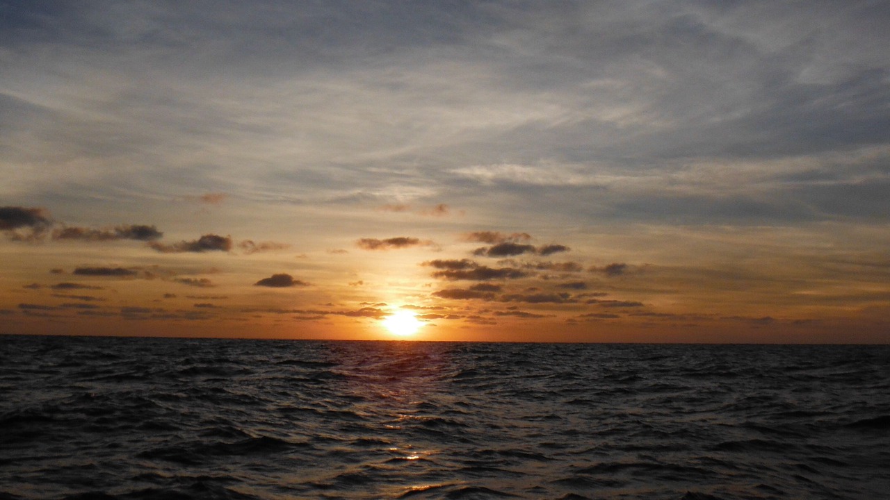 Photo of Others in Buenavista