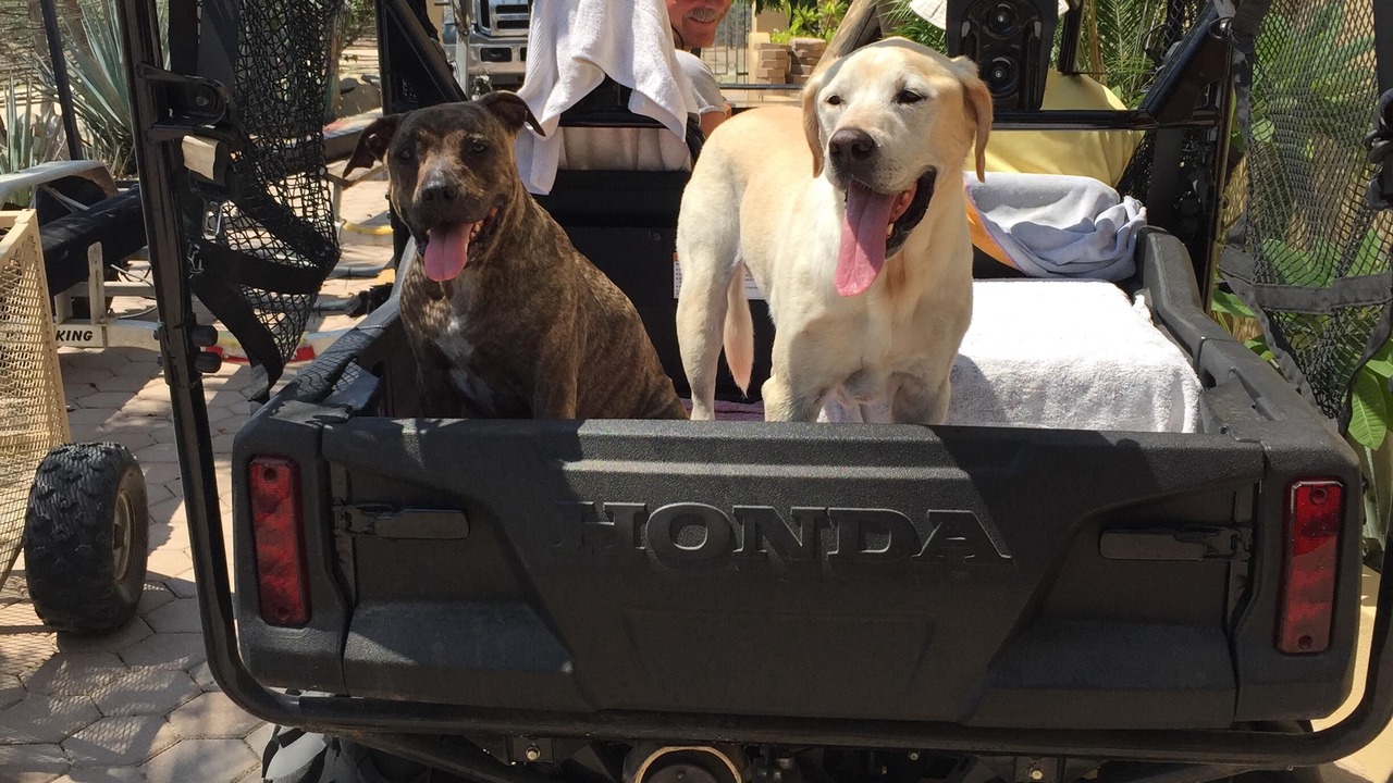 Photo of Others in Buenavista