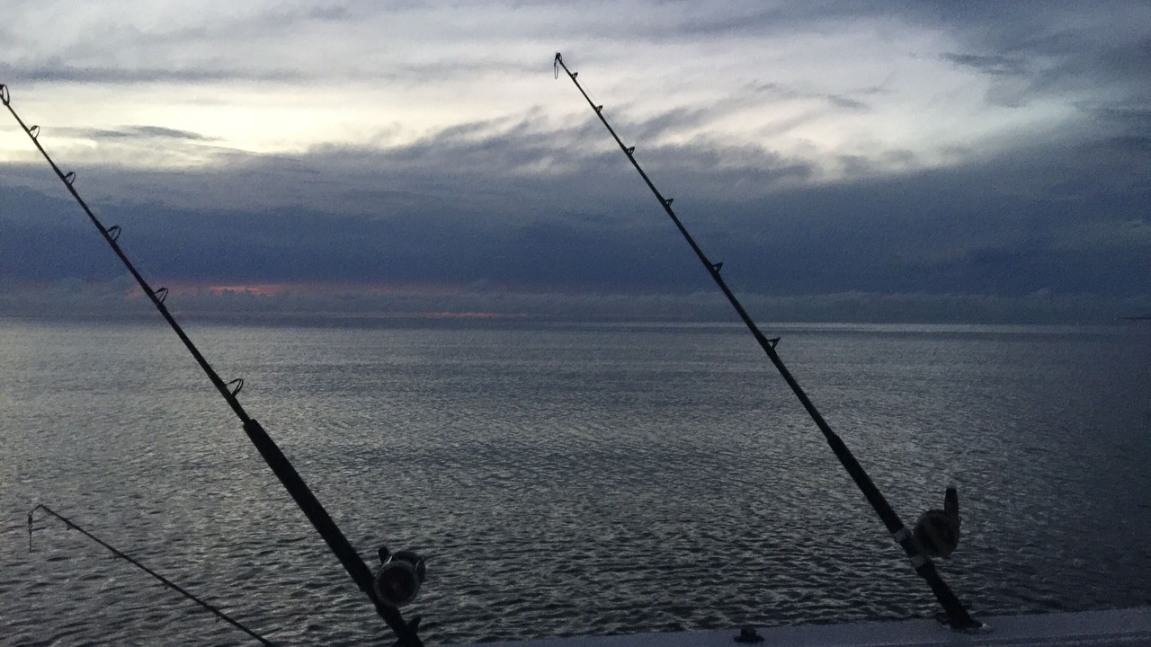 Photo of Others in Buenavista