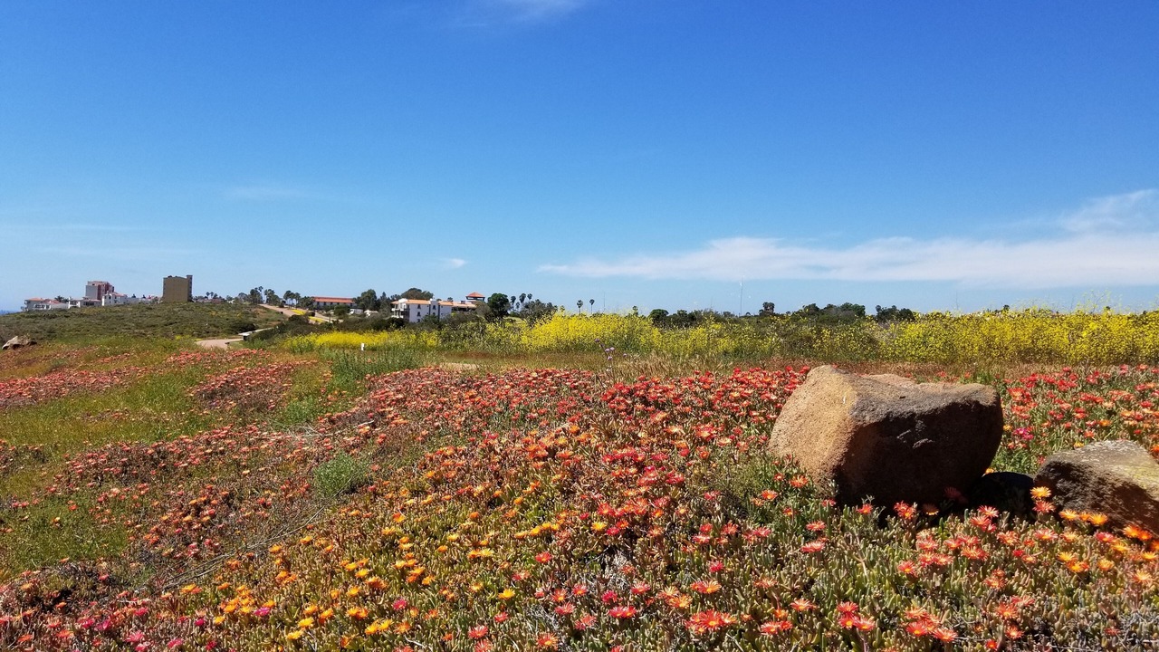 Photo of Outdoor in Salsipuedes