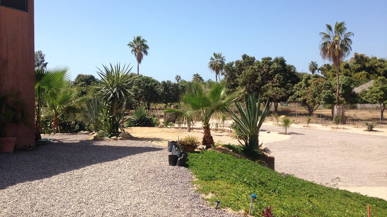 Photo of Outdoor in El Pescadero