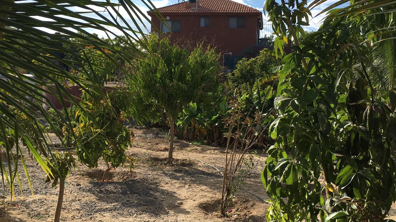 Photo of Others in El Pescadero