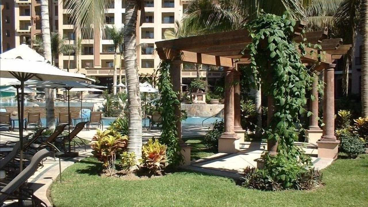 Photo of Outdoor in Flamingos