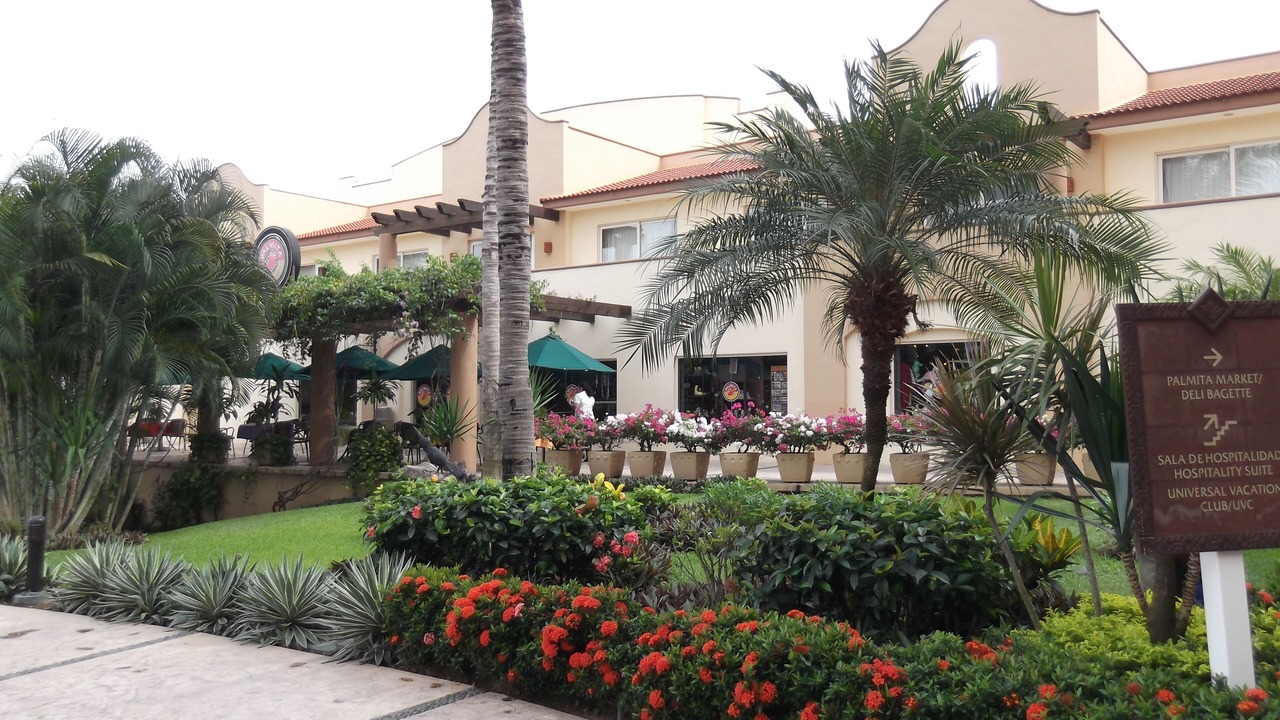 Photo of Others in Flamingos