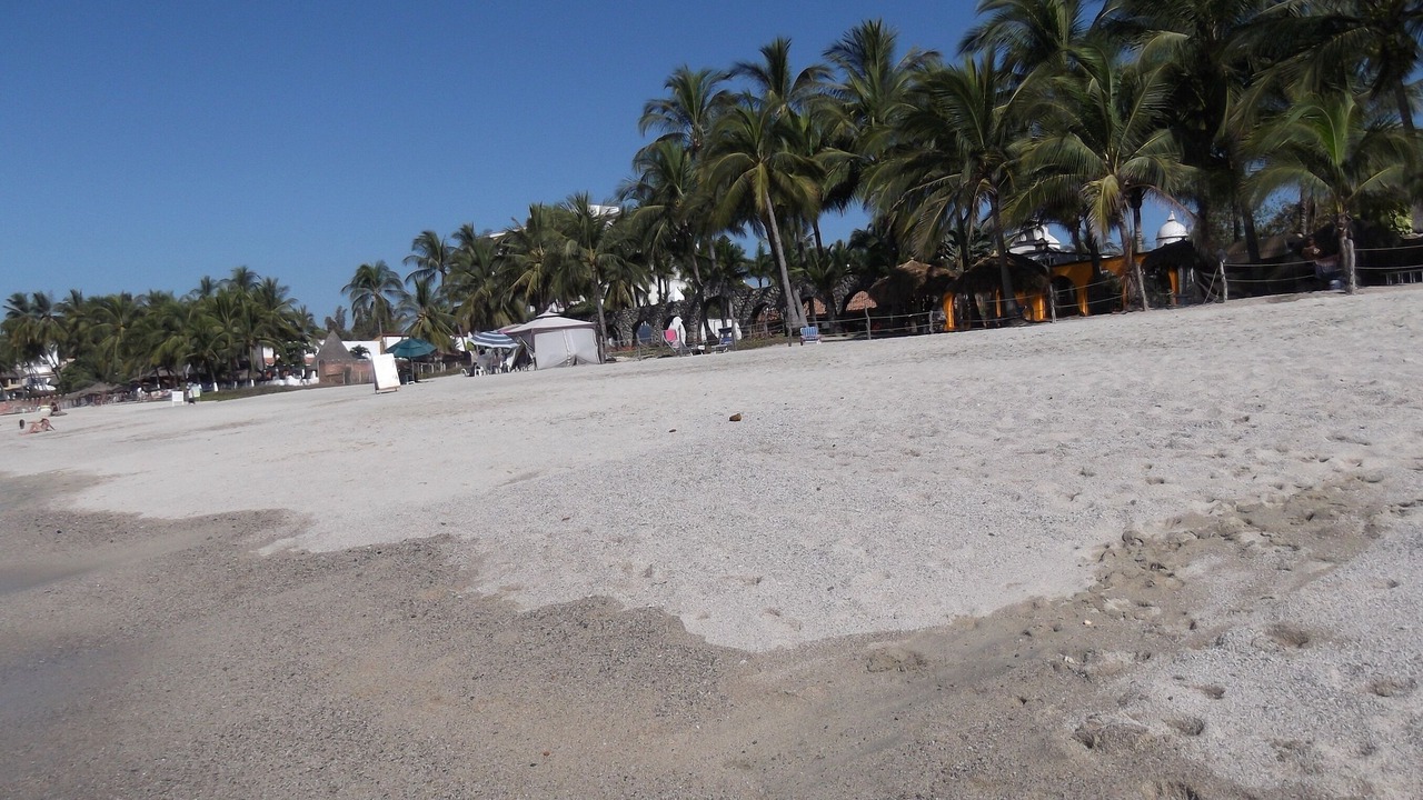 Photo of Others in Flamingos