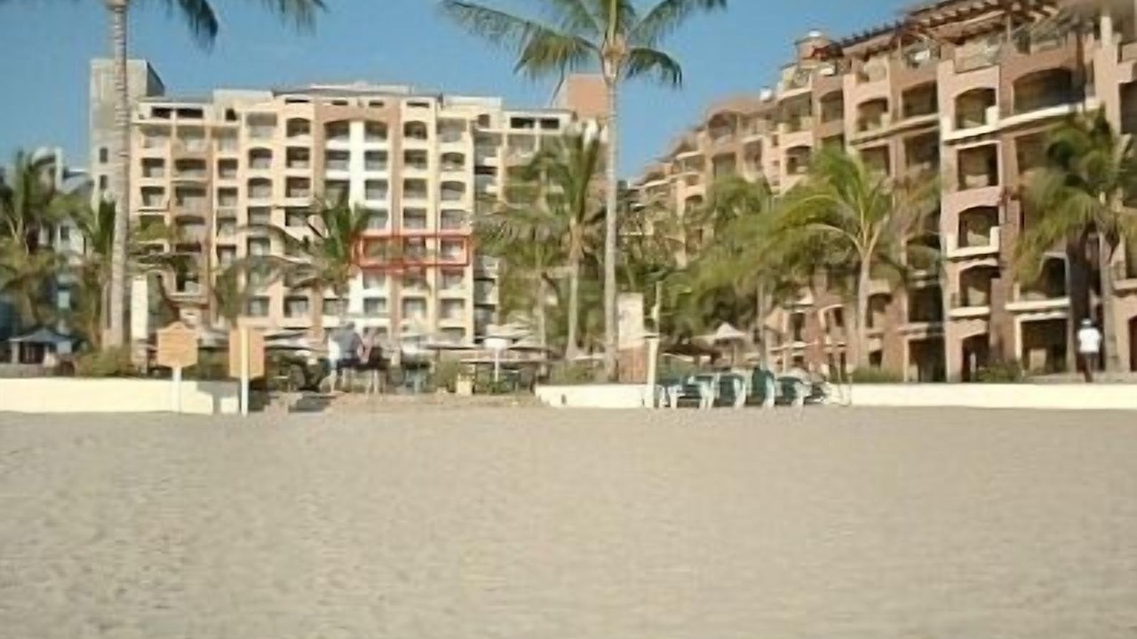 Photo of Others in Flamingos