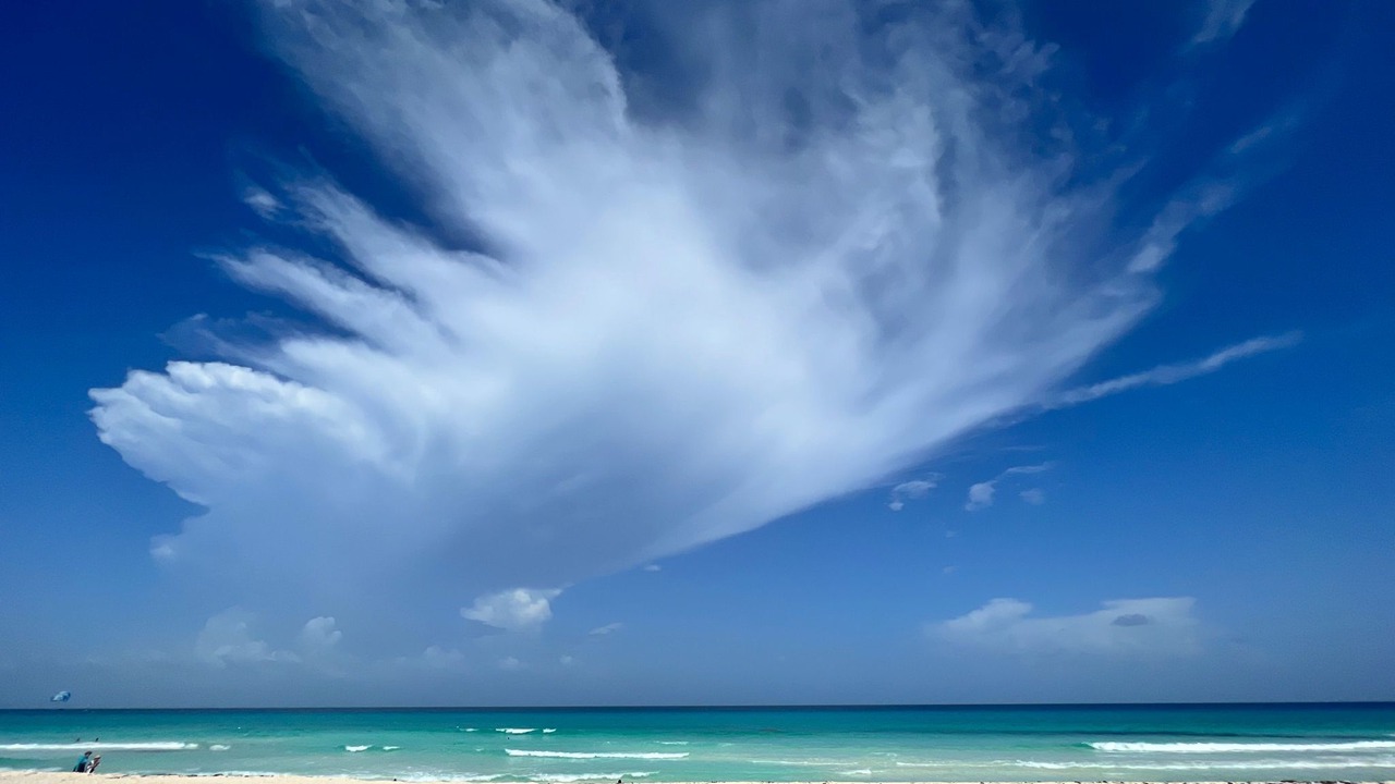 Photo of Others in Punta Cancun