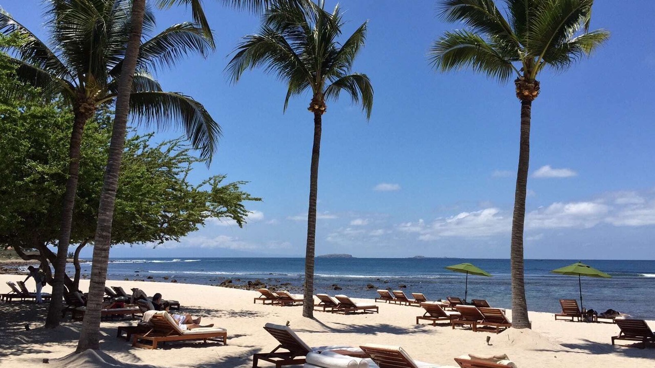 Photo of Others in Punta de Mita