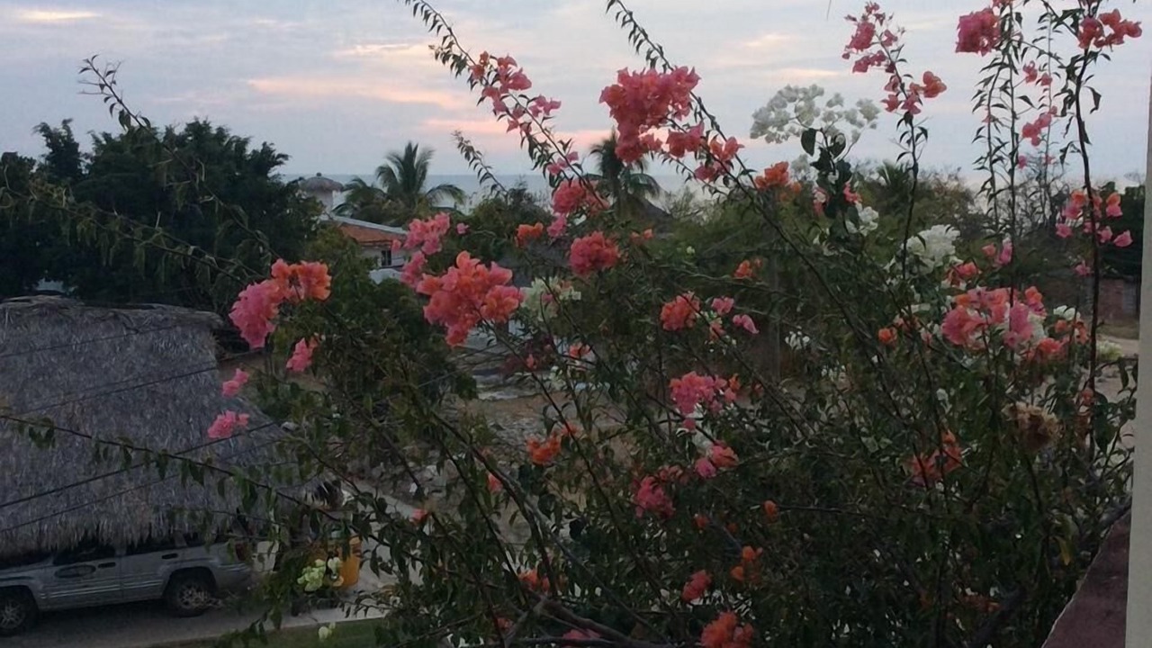 Photo of Outdoor in El Faro