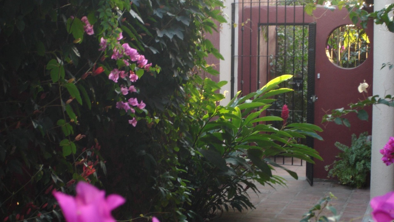 Photo of Outdoor in El Faro