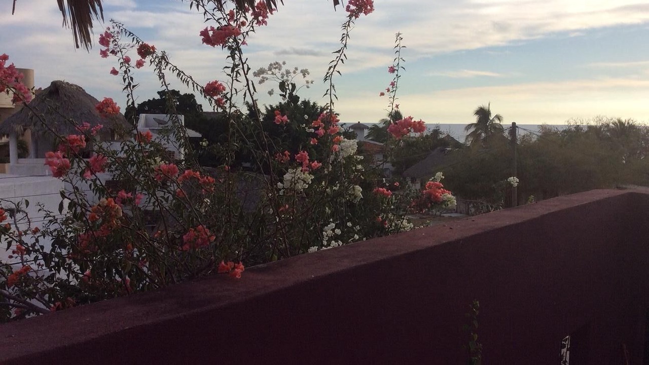 Photo of Outdoor in El Faro