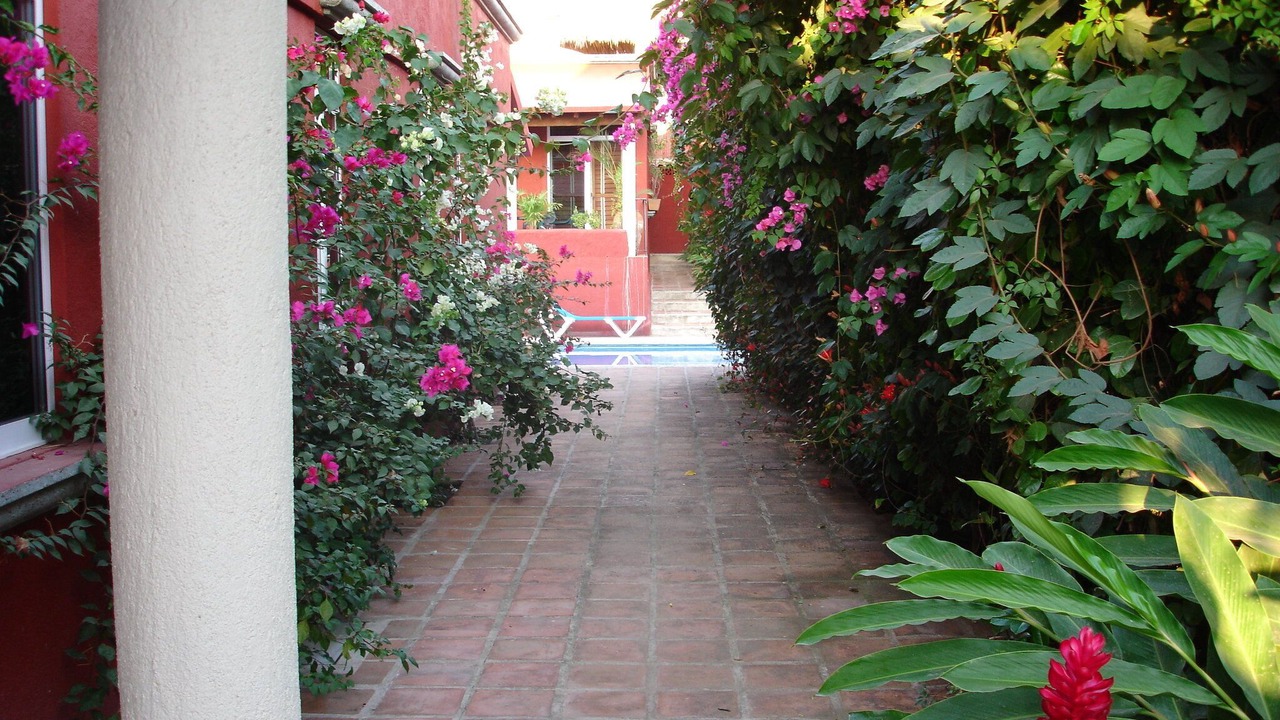 Photo of Outdoor in El Faro