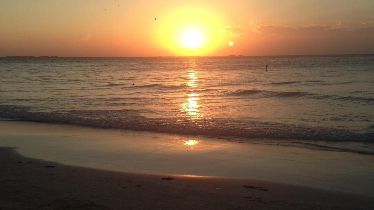 Photo of Others in Centro - Supmza 001