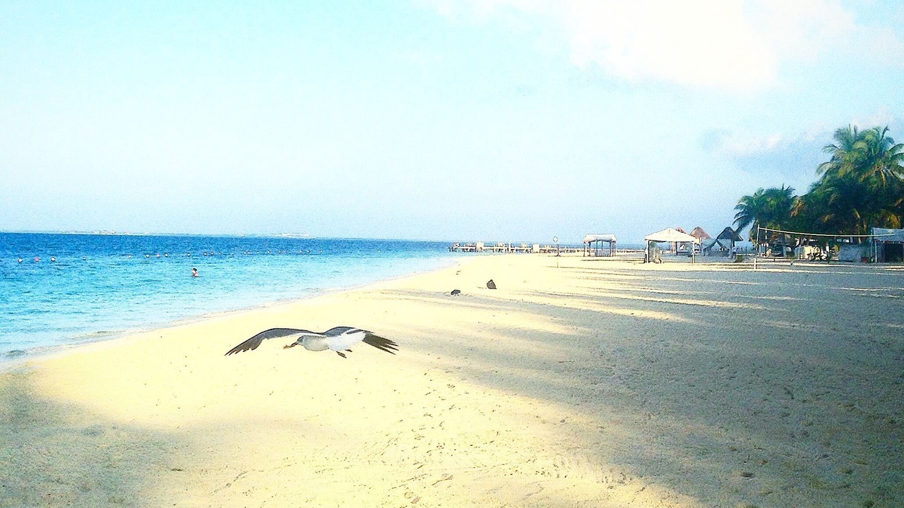 Photo of Others in Centro - Supmza 001