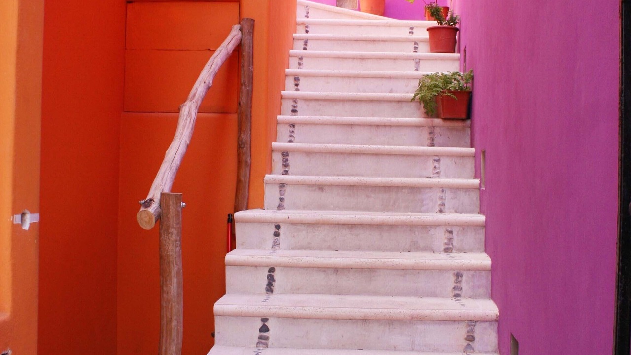 Photo of Others in Centro - Supmza 001