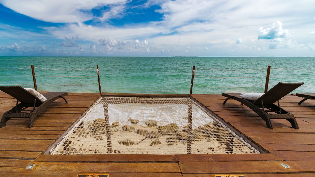 Photo of Outdoor in Isla Blanca