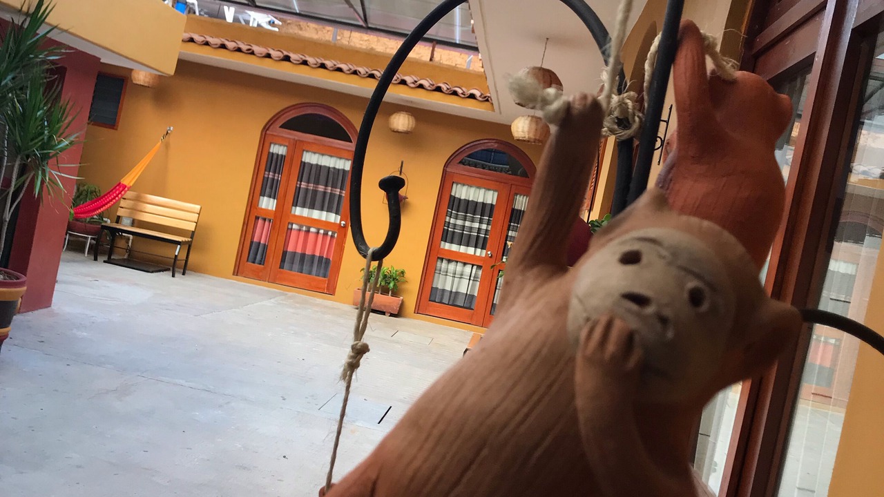 Photo of Outdoor in Luis Jimenez Figueroa
