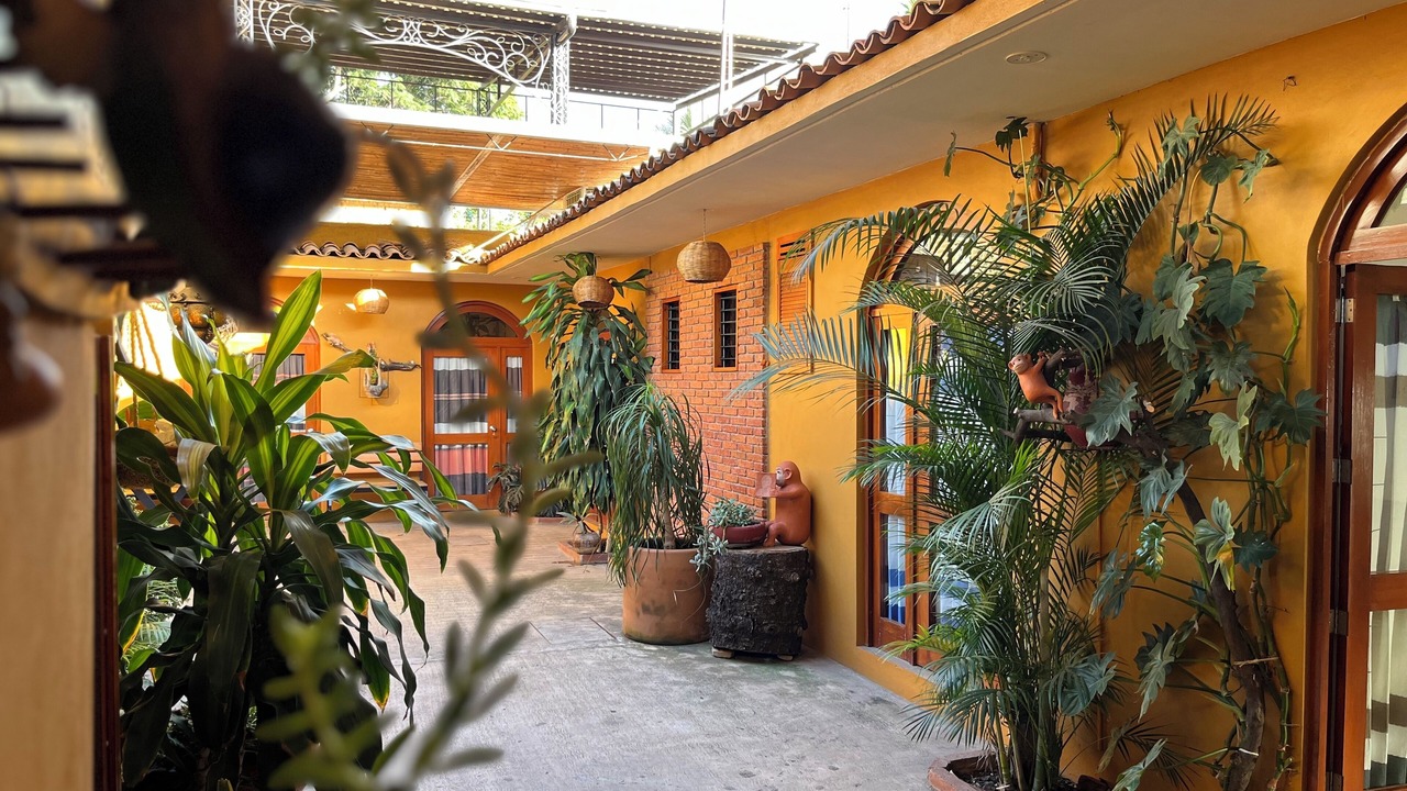 Photo of Outdoor in Luis Jimenez Figueroa