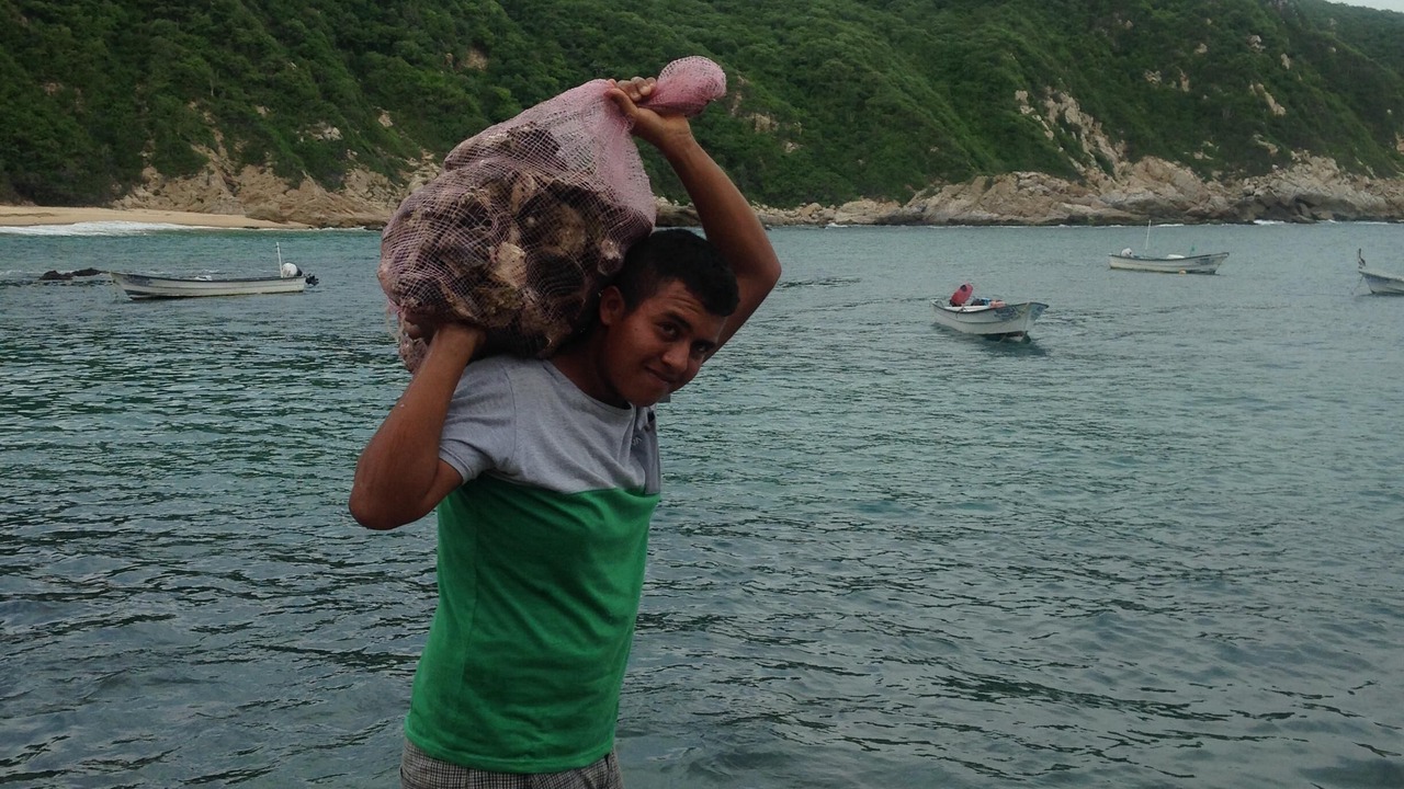 Photo of Others in El Tuito