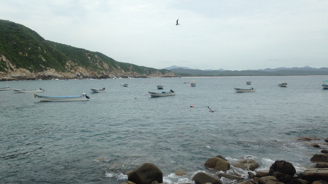 Photo of Others in El Tuito