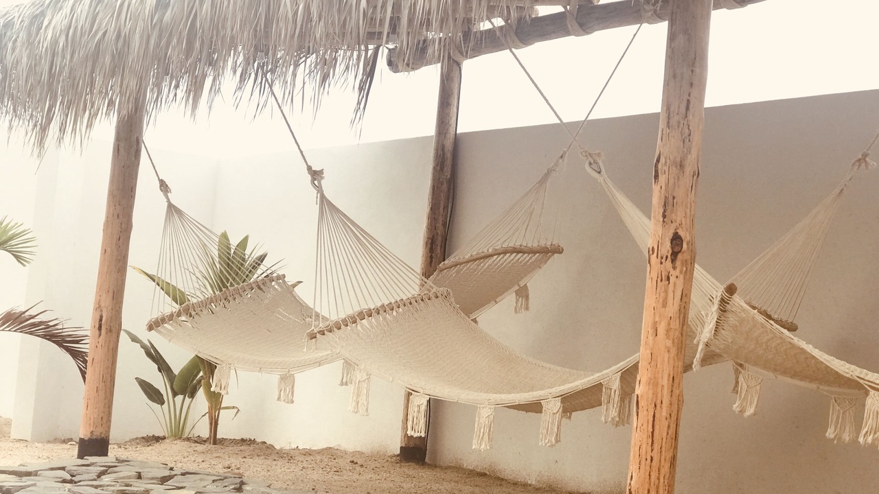 Photo of Outdoor in Todos Santos
