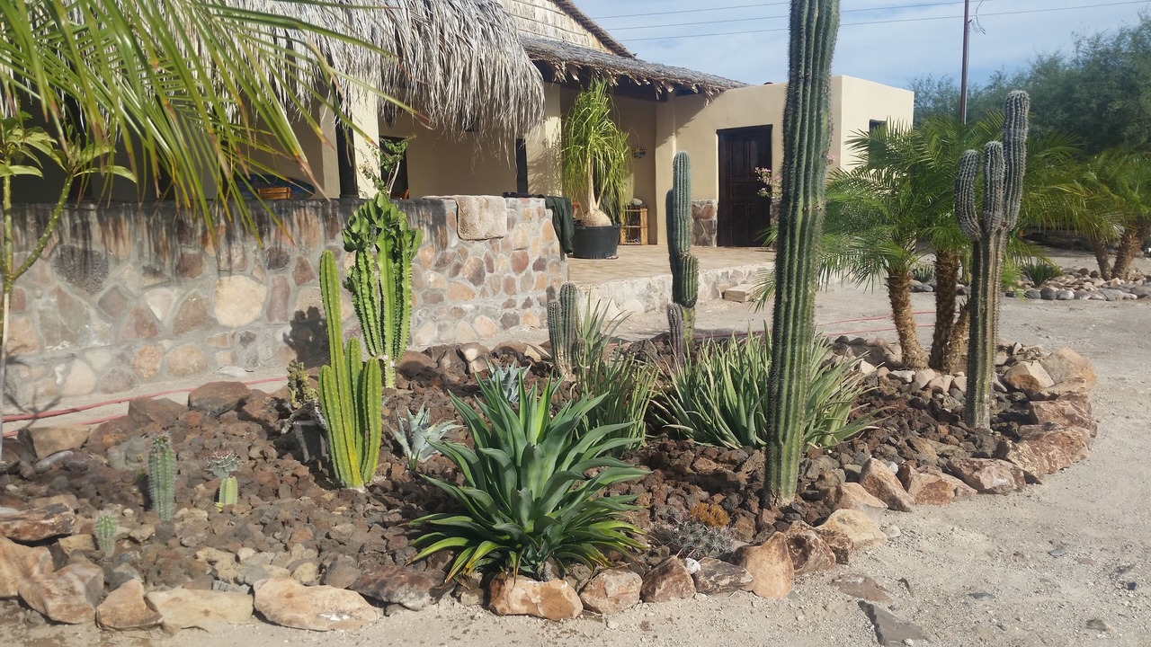 Photo of Outdoor in San Ignacio
