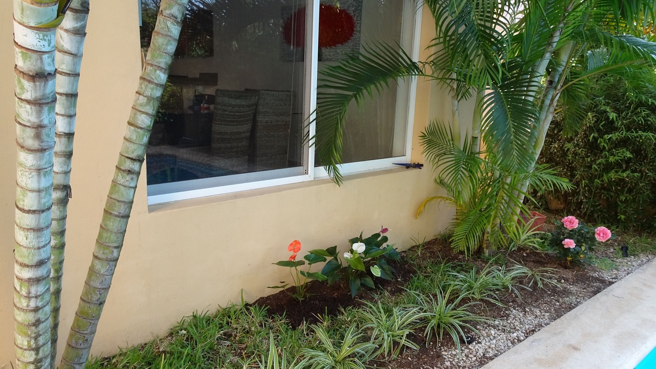 Photo of Outdoor in Puerto Aventuras