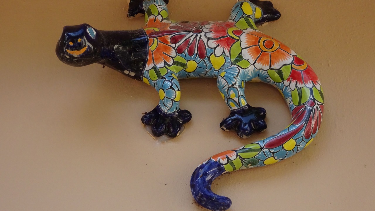 Photo of Others in Puerto Aventuras