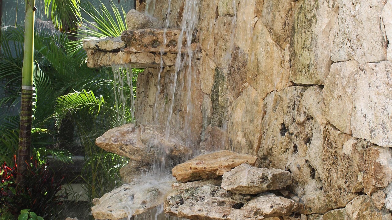 Photo of Outdoor in Akumal